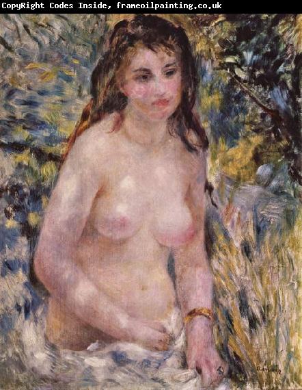 Pierre-Auguste Renoir Akt in der Sonne
